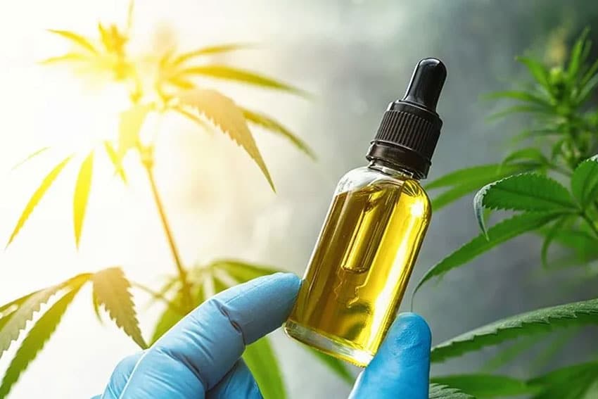 Buying CBD Products From Online Shops