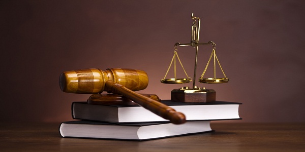 How does a criminal defense lawyer work in a case?